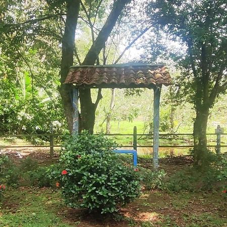 Hotel Maguey Tigre  Kültér fotó