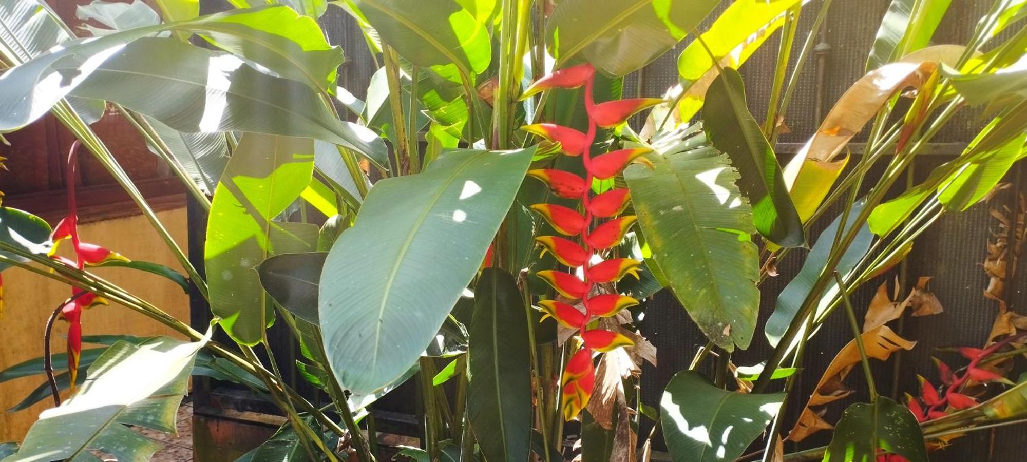 Hotel Maguey Tigre  Kültér fotó