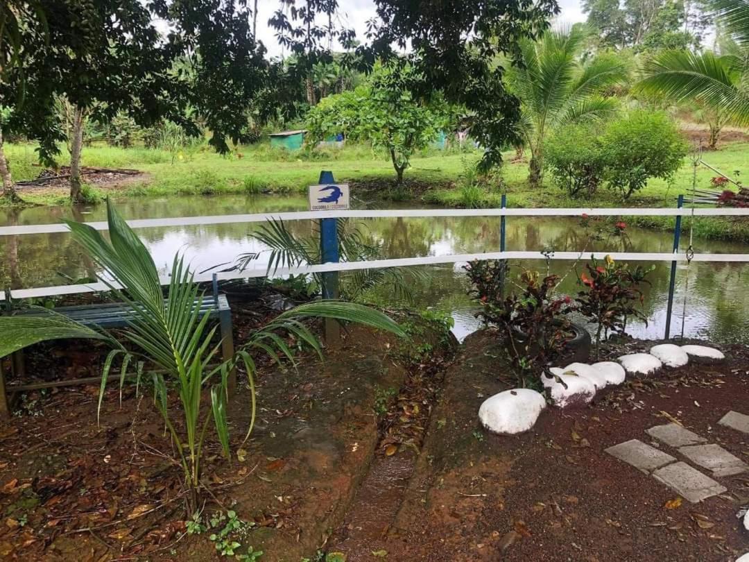 Hotel Maguey Tigre  Kültér fotó