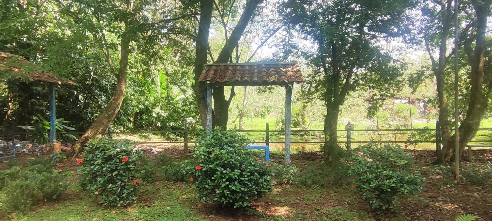 Hotel Maguey Tigre  Kültér fotó
